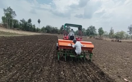 छिंदवाड़ा में धान की खेती की नई तकनीक: 'DSR' पद्धति से किसानों को होगा दोहरा फायदा, समय और लागत में भारी बचत