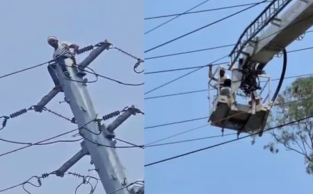Bhopal News: हाईटेंशन लाइन के खंभे पर चढ़ा पूर्व कर्मचारी, फिल्मी अंदाज में मचाया बवाल; ऐसे बची जान