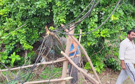 Harda News: वार्ड 31 में मौत के साए में जी रहे 50 परिवार; टूटे खंभों के कारण तारों का जंजाल, करंट लगने का बड़ा खतरा