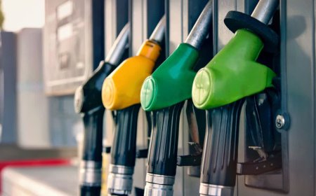 Online Diesel Delivery in Indore: अब व्हाट्सएप पर मिलेगा डीजल; इंदौर में शुरू हुई 'जिप फ्यूल' सेवा, जानें कैसे करें बुकिंग