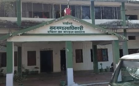 Shahdol News: शहडोल में माफियाओं के हौसले बुलंद, वनकर्मियों के साथ मारपीट और सरकारी गाड़ी को मारी टक्कर
