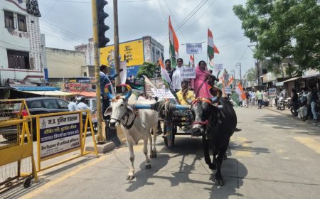 Farmers Protest in Ratlam: रतलाम में किसानों का हल्ला बोल; खाद की समस्या को लेकर कलेक्ट्रेट का घेराव, प्रशासन अलर्ट