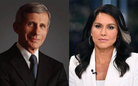 Tulsi Gabbard's Shocking Revelation: डॉ. एंथनी फौसी पर लगे वुहान लैब को फंडिंग देने के गंभीर आरोप