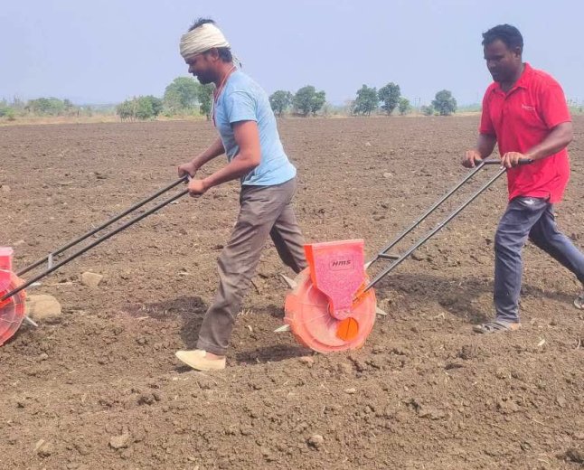 Chhindwara Farming News: मानसून की देरी से छिंदवाड़ा के किसानों की बढ़ी चिंता, खराब हो रही मक्के की फसल; दोबारा बोनी का संकट