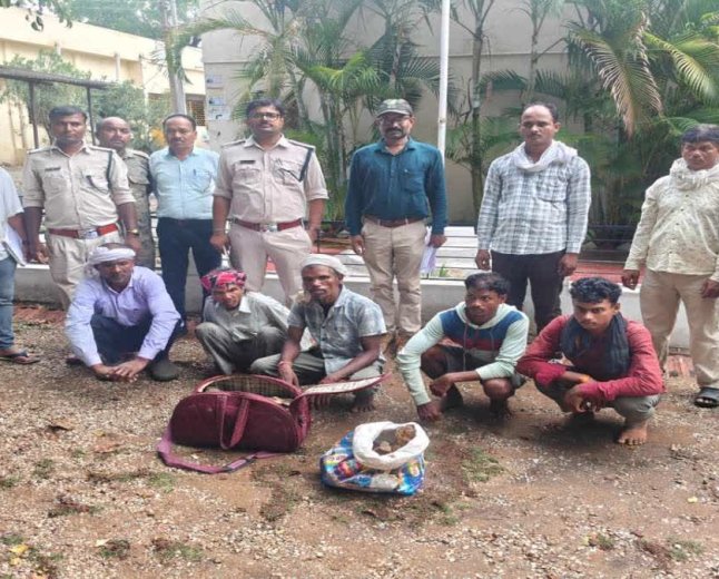 Balaghat News: बाघ के कंकाल का सौदा करते 5 तस्कर गिरफ्तार; वन विभाग की टीम ने ग्राहक बनकर बिछाया जाल