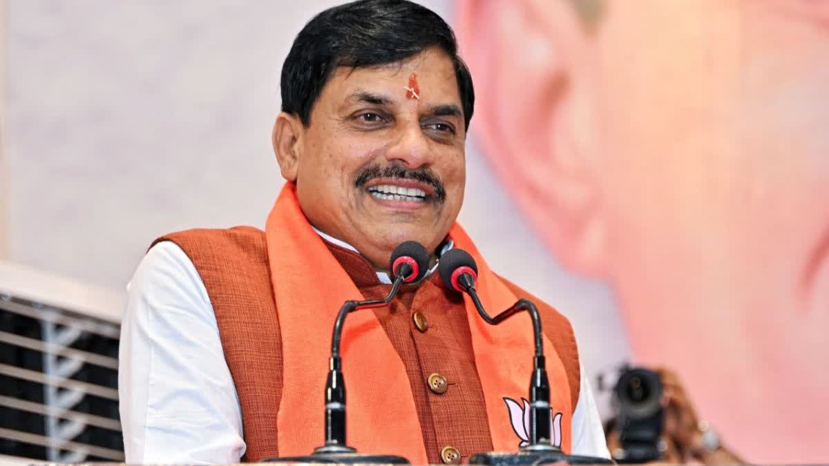 कृषि मंत्री शिवराज सिंह चौहान से गुहार, MP में ग्रीष्मकालीन मूंग और उड़द खरीदी का फंसा पेंच; जानें पूरा गणित