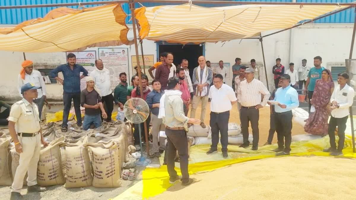 छिंदवाड़ा में ₹44 लाख का गेहूं घोटाला; कागजों में हुई खरीदी, गोदामों से 1,836 क्विंटल अनाज गायब