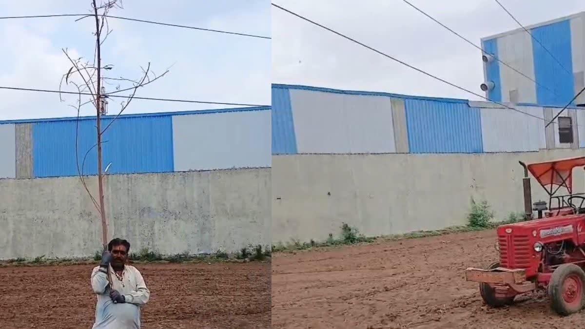 खेत में झूलते बिजली के तारों के नीचे बुवाई करने को मजबूर किसान; मौत को दावत दे रही विद्युत विभाग की लापरवाही