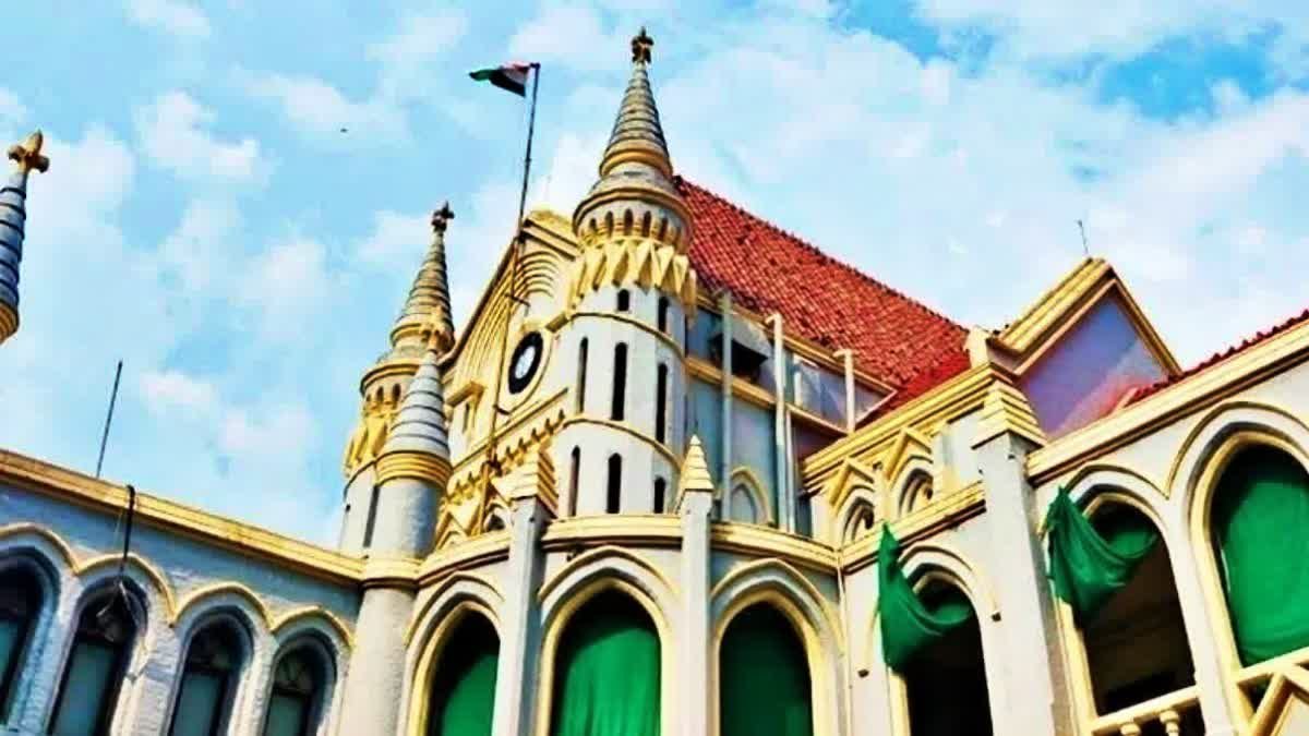 जबलपुर में 19 घोड़ों की मौत का मामला: हाईकोर्ट में पेश हुई जांच रिपोर्ट, फार्म हाउस में चल रही थी डेयरी