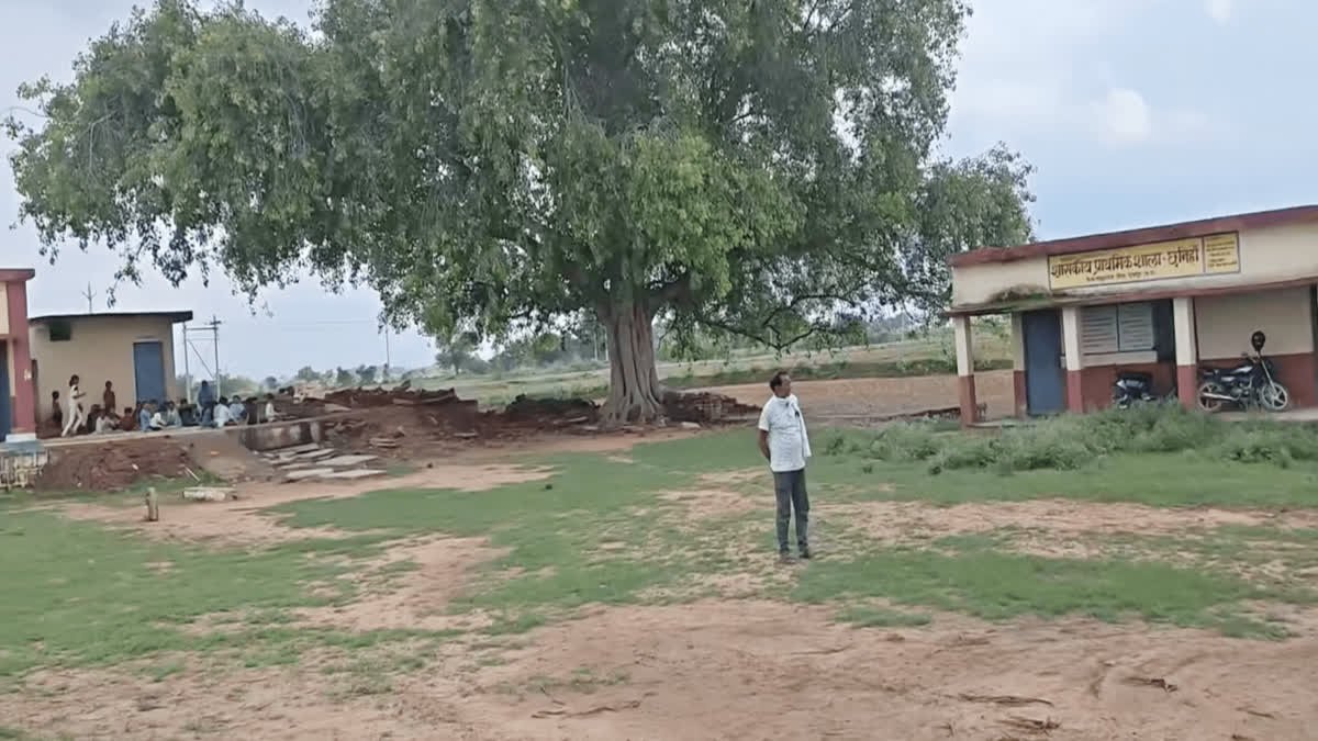 छतरपुर में बरगद के पेड़ के नीचे चल रहा सरकारी स्कूल; बारिश होते ही छुट्टी, 51 इमारतें गायब