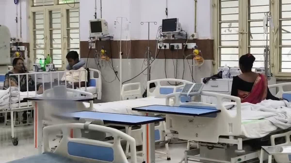 जबलपुर के निजी स्कूल में लंच के दौरान हादसा; पहली बारिश के बाद बिलों से बाहर निकले जहरीले जीव