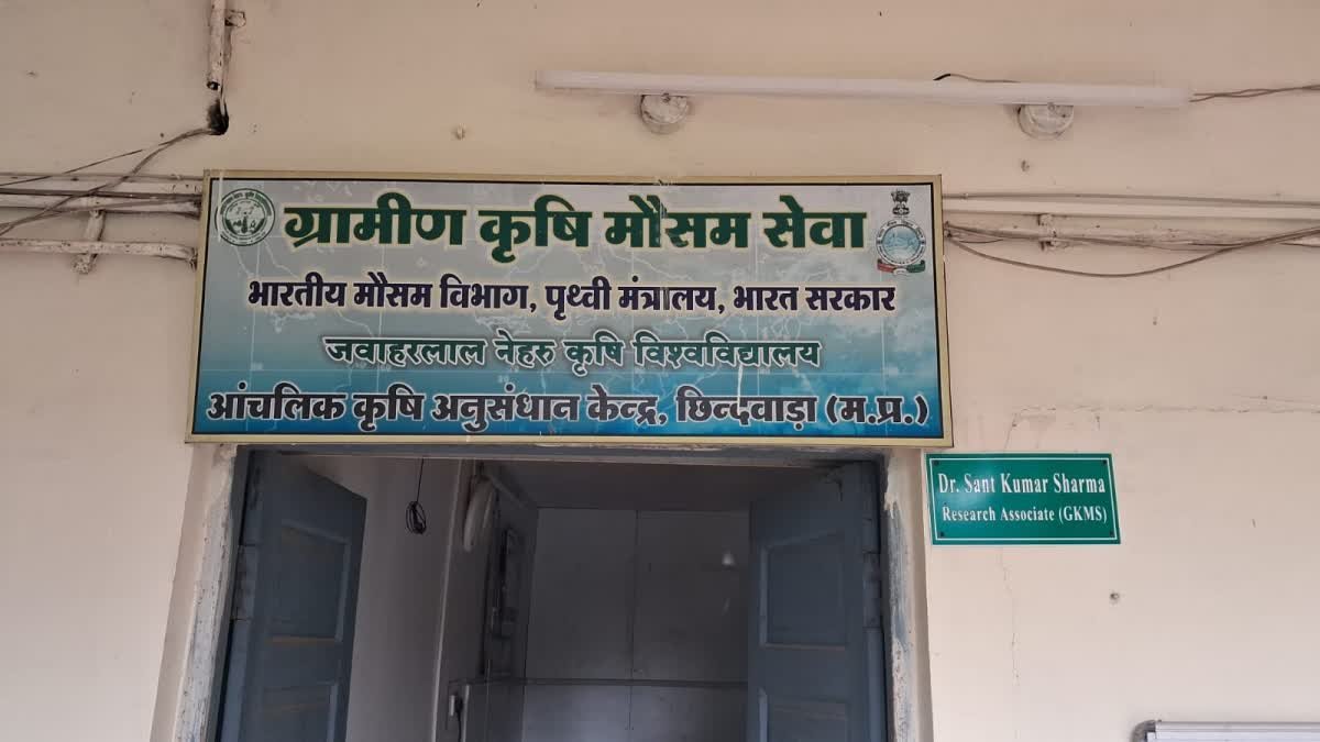 महाकौशल में थमी बारिश से किसान परेशान, मौसम वैज्ञानिक डॉ. संत कुमार शर्मा ने दी बड़ी खुशखबरी