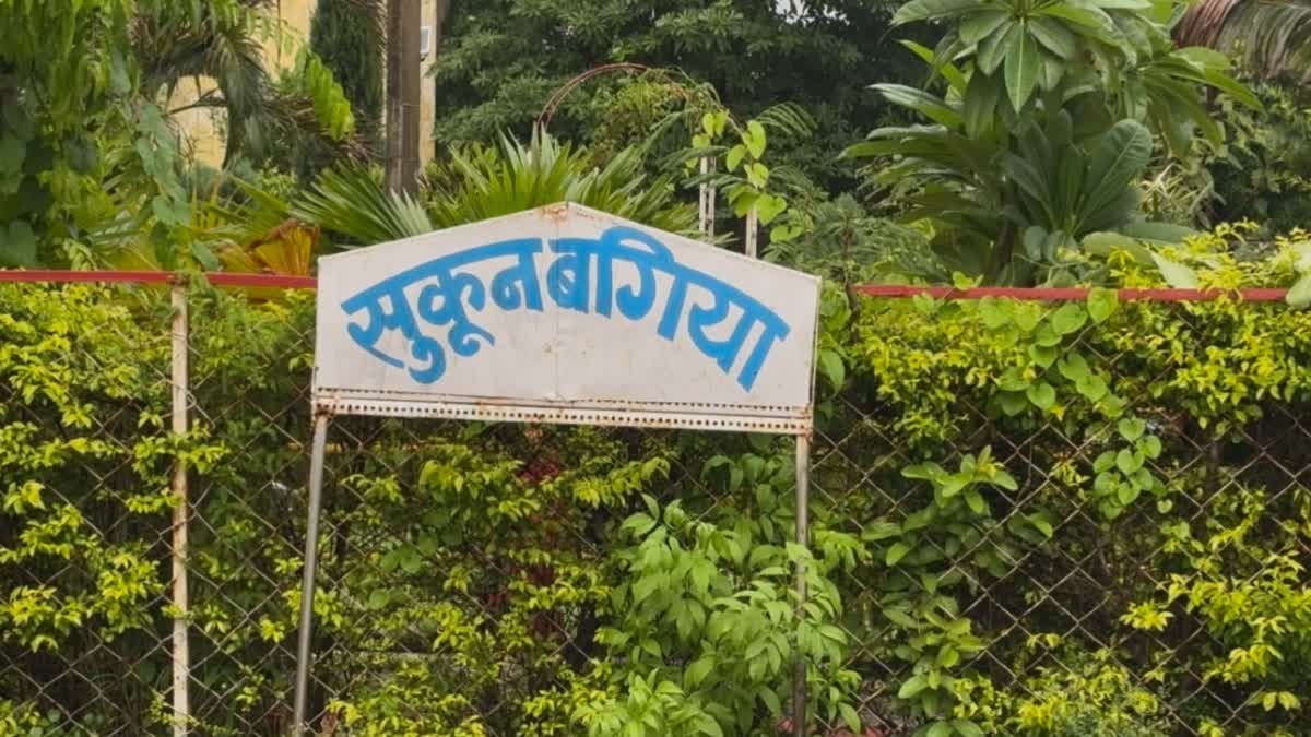 कबाड़ से कमाल! रामनगर सिविल अस्पताल में बेकार सामग्री से बना आकर्षक योग सेंटर और गार्डन