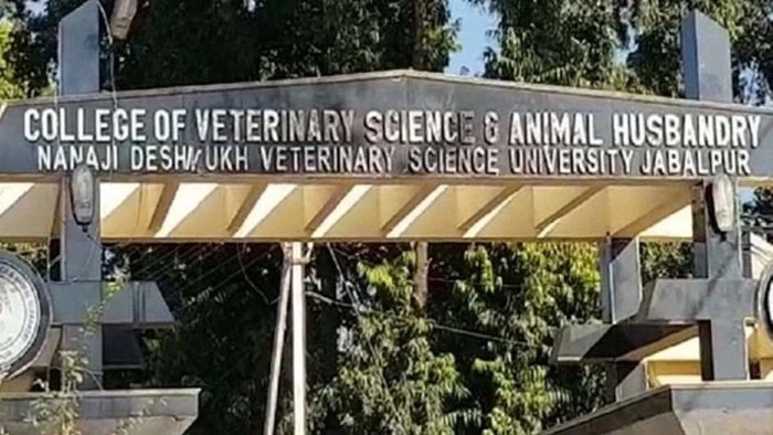 बीवीएससी और बीएफएससी पाठ्यक्रमों में एडमिशन का मौका, बिना नीट के भी ले सकेंगे प्रवेश