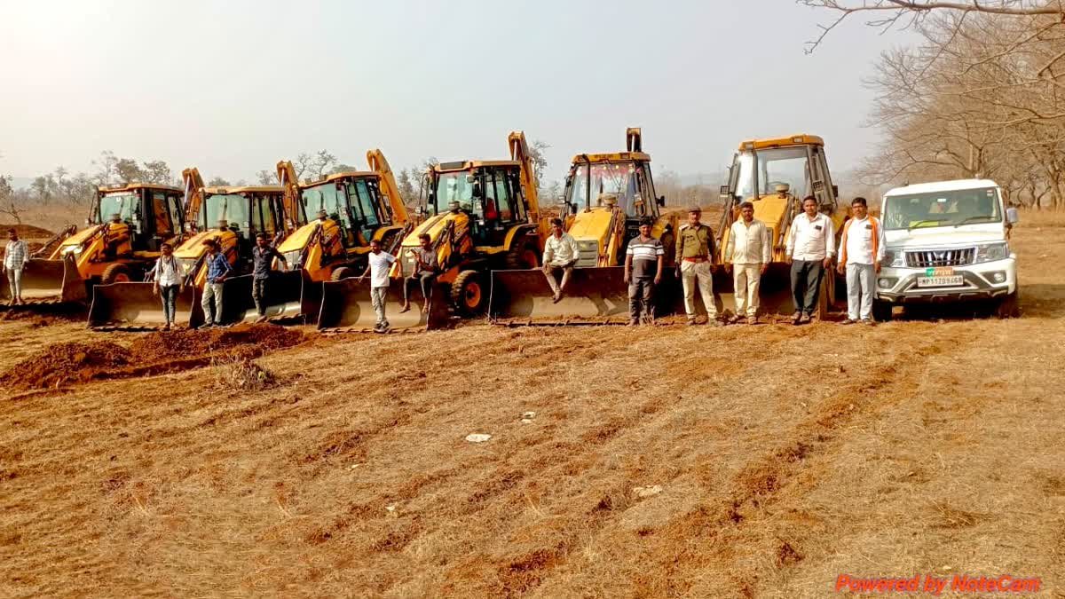 धार के 7 वन परिक्षेत्रों में चला अभियान, अब मुक्त भूमि पर लगाए जाएंगे सागौन के पौधे