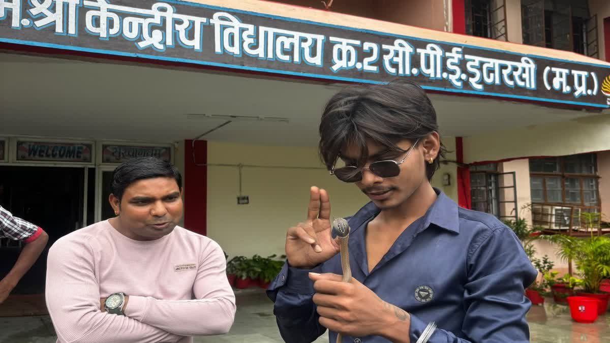 स्कूल परिसर में दिखा नाग का बच्चा, मचा हड़कंप! जानें स्नेक बाइट होने पर तुरंत क्या करें