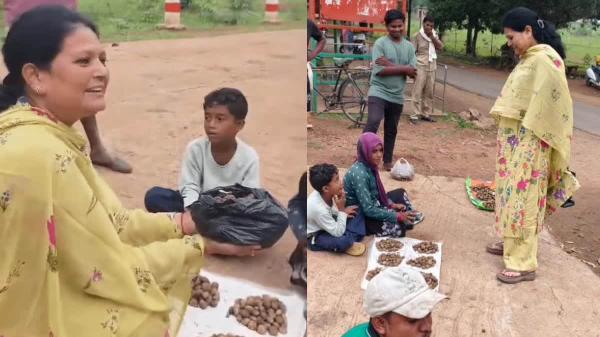 क्या है पुटू सब्जी? जानिए इसके अनोखे फायदे और उमरिया में क्यों है इसकी इतनी चर्चा