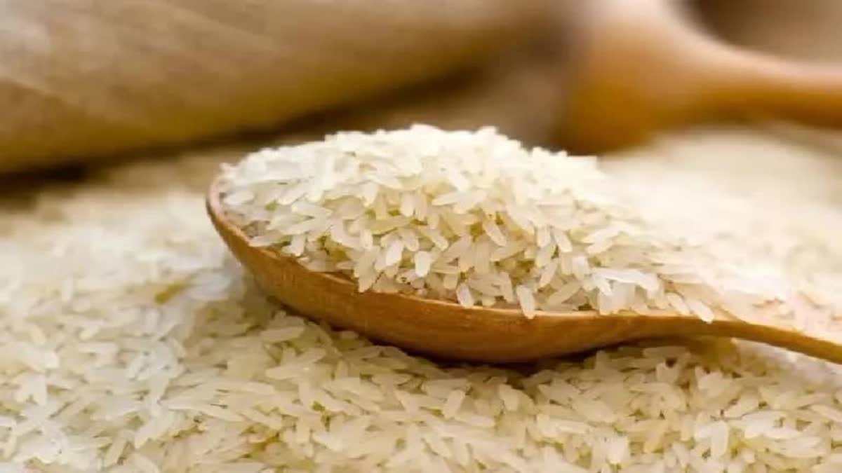 मध्य प्रदेश के चावल घोटाले के तार 3 राज्यों से जुड़े, 14 राइस मिलों पर गिरी गाज