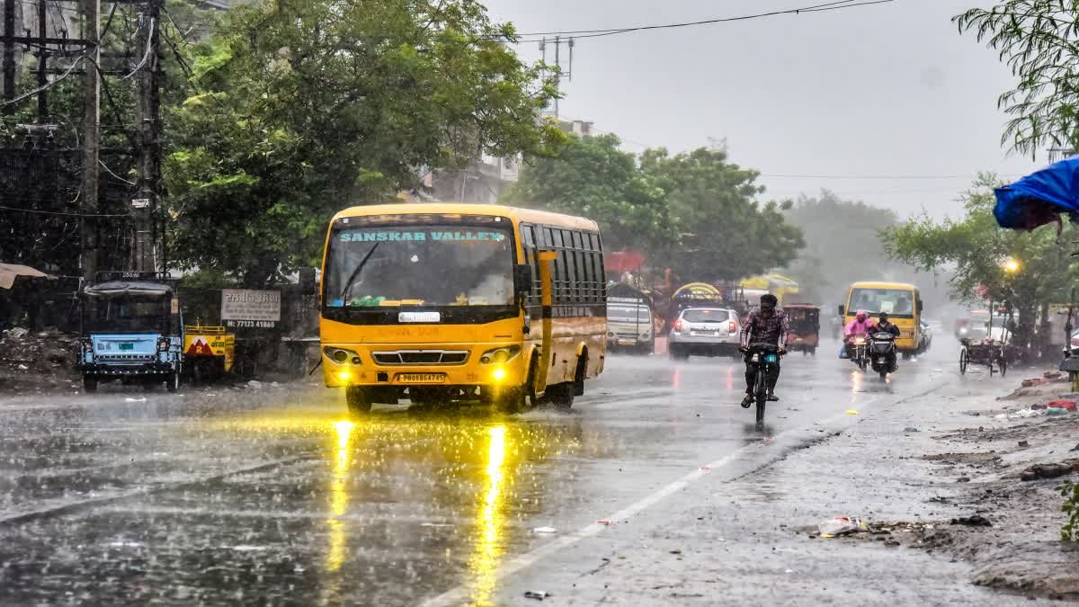 मध्य प्रदेश के 5 जिलों में मूसलाधार बारिश का अलर्ट; भोपाल-इंदौर समेत कई शहरों में वज्रपात की चेतावनी