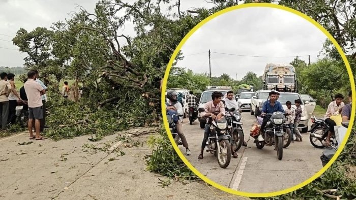 प्रशासन नदारद, ग्रामीणों ने खुद काटा पेड़; हाईवे पर यात्रियों की बढ़ी मुसीबतें