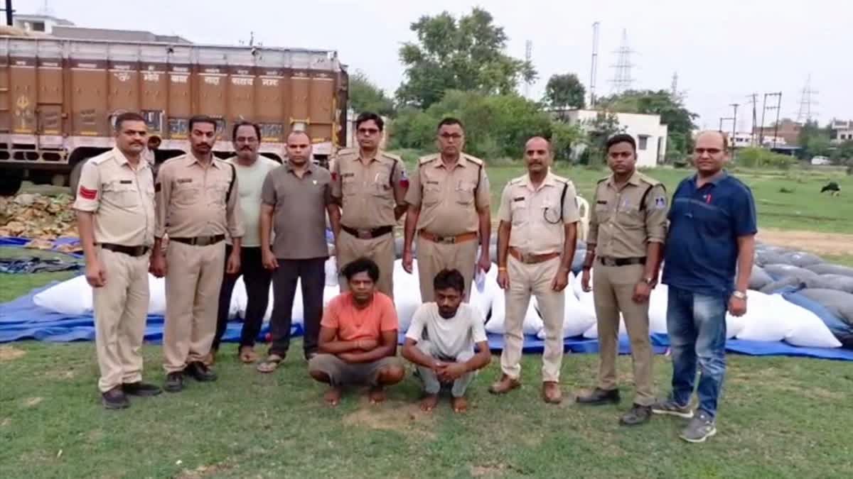 रीवा में मक्के की बोरियों से निकला ₹3.5 करोड़ का गांजा; ओडिशा से यूपी जा रहा ट्रक जब्त
