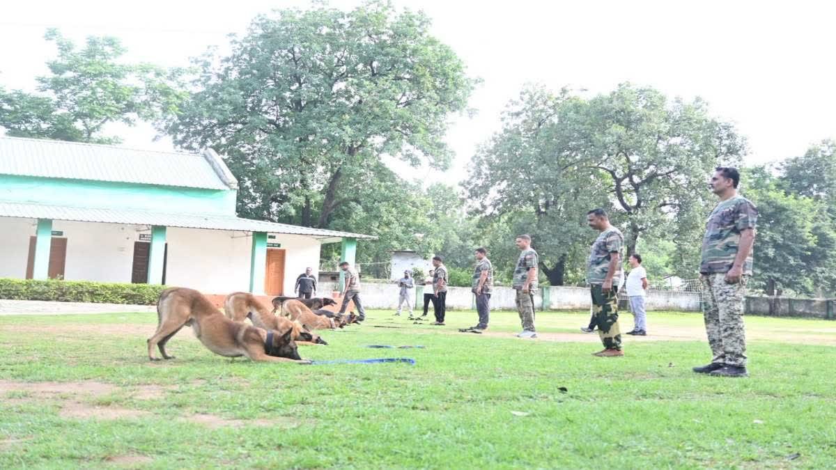 बांधवगढ़ में 7वां डॉग रिफ्रेशर कोर्स संपन्न; सतपुड़ा टाइगर रिजर्व की टीम ने हासिल किया पहला स्थान