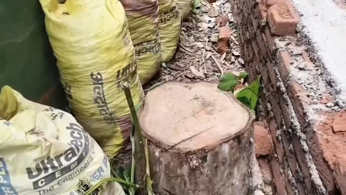 मानपुर वन परिक्षेत्र में सरकारी संपत्ति ही असुरक्षित! अज्ञात चोरों के खिलाफ पुलिस में FIR दर्ज