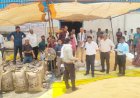 छिंदवाड़ा में ₹44 लाख का गेहूं घोटाला; कागजों में हुई खरीदी, गोदामों से 1,836 क्विंटल अनाज गायब