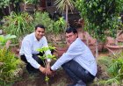 न्यायालय परिसर में किया पौधरोपण 