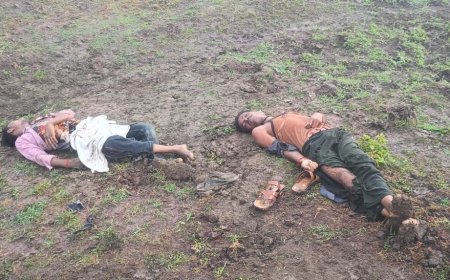 छतरपुर (एमपी) : छतरपुर मे पहली बारिश का दिखा कहर, दो सगे भाइयो की मौत