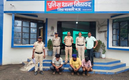थाना सिलावद पुलिस की गोवंश के अवैध परिवहन पर बड़ी कार्रवाई