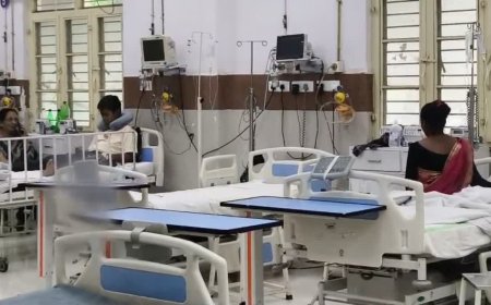 जबलपुर के निजी स्कूल में लंच के दौरान हादसा; पहली बारिश के बाद बिलों से बाहर निकले जहरीले जीव