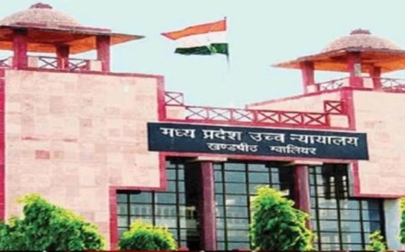 जर्जर सड़कों पर हाई कोर्ट सख्त; नगर निगम और याचिकाकर्ता को 10 दिन में देनी होगी ताजा तस्वीरें