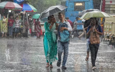 मप्र में 17% कम बारिश के बीच बदला मौसम, 20 से अधिक जिलों में भारी बारिश की चेतावनी; किसानों के खिले चेहरे