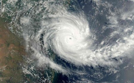 मध्य प्रदेश में रूठे बादल फिर होंगे मेहरबान; 7 चक्रवाती सिस्टम एक्टिव होने से झमाझम बारिश का अलर्ट