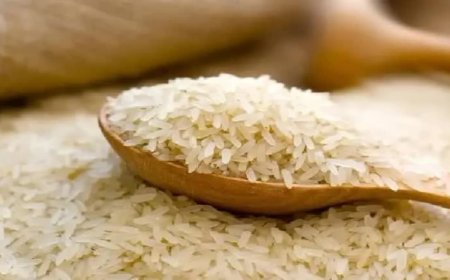 मध्य प्रदेश के चावल घोटाले के तार 3 राज्यों से जुड़े, 14 राइस मिलों पर गिरी गाज