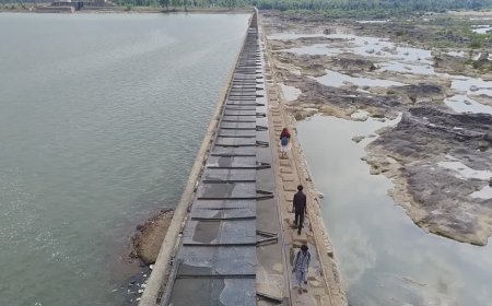 जान जोखिम में डालकर डैम पार कर रहे लोग; मगरमच्छों का डर और 30 किमी का चक्कर बचाने की मजबूरी