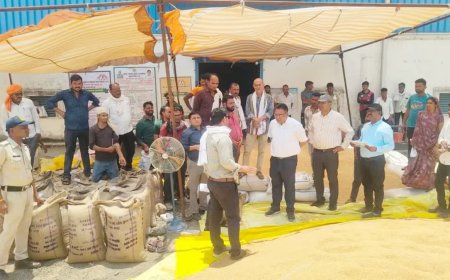 छिंदवाड़ा में ₹44 लाख का गेहूं घोटाला; कागजों में हुई खरीदी, गोदामों से 1,836 क्विंटल अनाज गायब