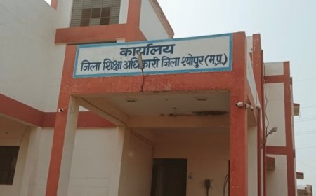 श्योपुर में शिक्षा विभाग और जिला पंचायत के बीच टकराव: शिक्षकों के अटैचमेंट पर विवाद