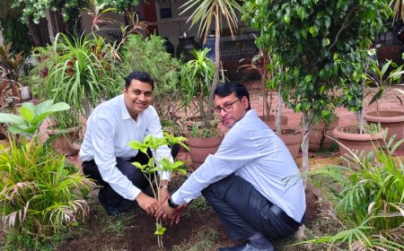 न्यायालय परिसर में किया पौधरोपण 