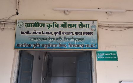 महाकौशल में थमी बारिश से किसान परेशान, मौसम वैज्ञानिक डॉ. संत कुमार शर्मा ने दी बड़ी खुशखबरी
