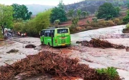 इंदौर, खरगोन और धार में झमाझम बारिश; 4 दिन तक भारी वर्षा का अलर्ट