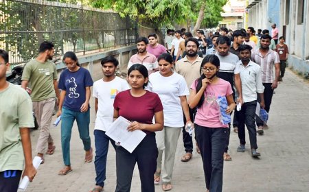 सीधी के मझौली शासकीय कॉलेज के छात्रों का दर्द, परीक्षा देने के लिए तय करना पड़ रहा खतरनाक और लंबा सफर