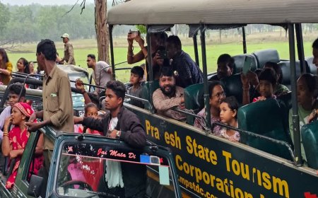 सैलानियों की पहली पसंद बना कान्हा; 2025-26 में पर्यटकों की संख्या में हुआ भारी इजाफा