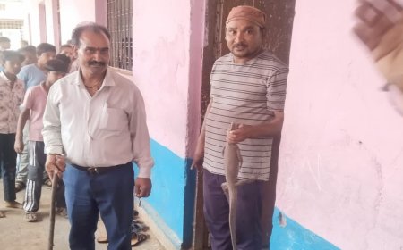 सरकारी स्कूल की क्लास में अचानक निकला गोह, बच्चों और शिक्षकों में मची अफरा-तफरी; जर्जर भवन की खुली पोल