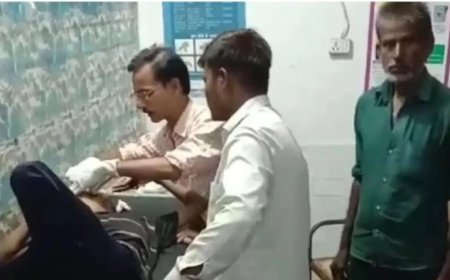शौचालय न होने से खदान में शौच के लिए गया था बच्चा; आवारा कुत्तों ने बुरी तरह नोचा