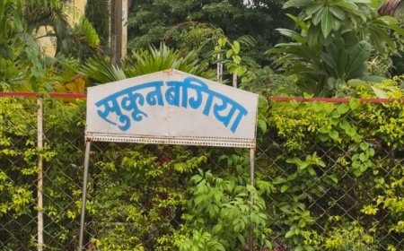 कबाड़ से कमाल! रामनगर सिविल अस्पताल में बेकार सामग्री से बना आकर्षक योग सेंटर और गार्डन