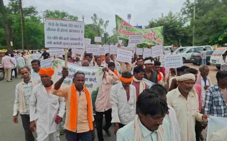 खंडवा-बुरहानपुर के जंगलों पर बाहरी लोगों का कब्जा! कोरकू समाज ने सीएम के नाम सौंपा ज्ञापन