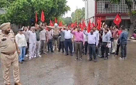 चंडीगढ़ में यूटी प्रशासन के खिलाफ कर्मचारियों का हल्लाबोल; लेबर कोड के विरोध में फूंका पुतला