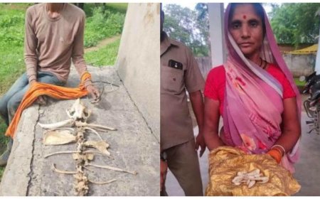 मैहर में वन्यजीवों के शिकार और तस्करी का पर्दाफाश, 4 तस्कर गिरफ्तार; नाखून, दांत और हड्डियां बरामद